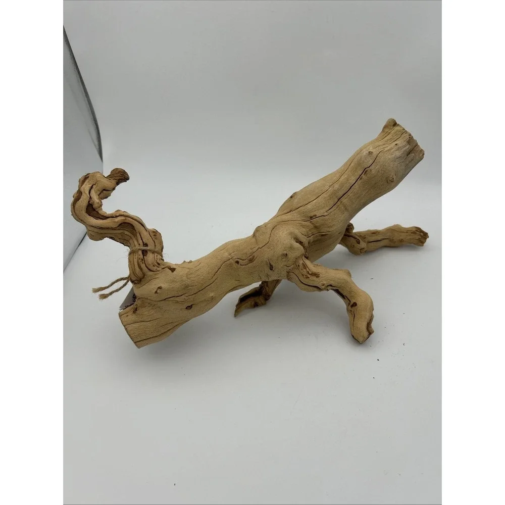 Nature Scapes Grapewood reptiles Or Airplants‎ 14x6 natural stump decor